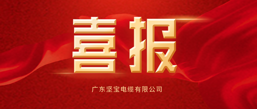 重磅喜报！榴莲视频破解版电缆中标南方电网公司 2023 年配网材料第一批框架招标项目！