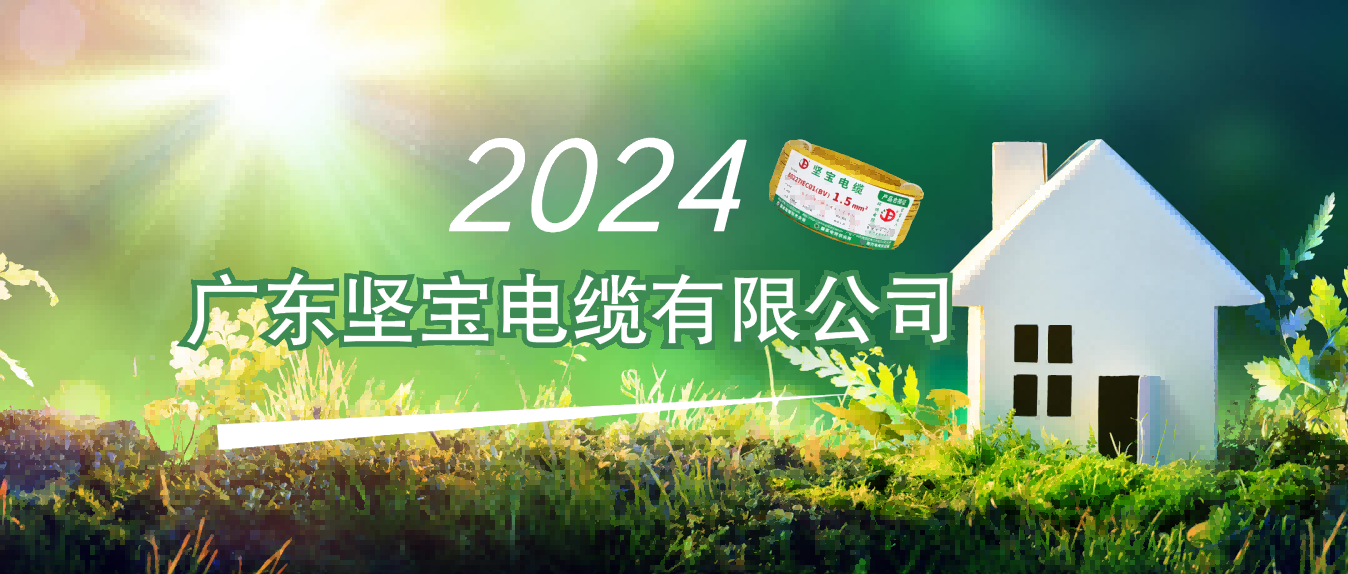 广东榴莲视频破解版电缆有限公司2023年度环境、社会及管治(ESG)报告